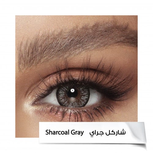  Sharcoal Gray